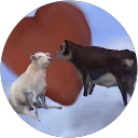 Александра К. profile picture